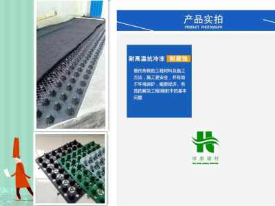 綠泰廠家提供專業技術服務 棗莊車庫排水板及車庫樓頂解決方案今日報價