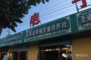 延長(zhǎng)有機(jī)農(nóng)特產(chǎn)品直銷市場(chǎng)暨電子商務(wù)體驗(yàn)區(qū) 開啟電子產(chǎn)品批發(fā)零售新篇章